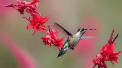 Top 7 de las Aves Más Importantes del Mundo Que Debes Conocer