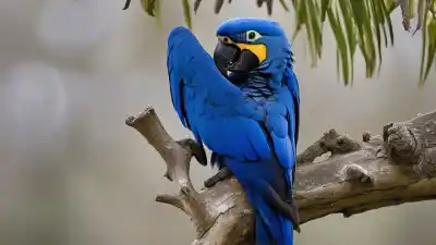 Top 7 de las Aves Más Hermosas en Peligro de Extinción Que Debes Conocer