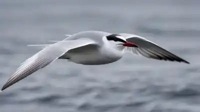 Top 7 de las Aves que Más Migran: Viajeras Incansables del Cielo