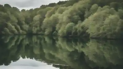Los 10 Lagos Más Bonitos de Dinamarca: Belleza Escandinava en Estado Puro