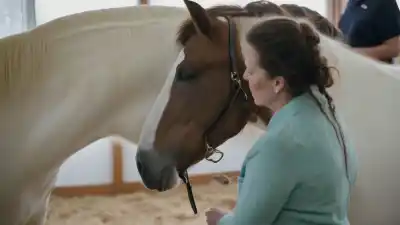 Top 10 Animales Que Ayudan a las Personas de Forma Sorprendente