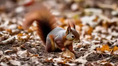 Top 7 Animales que Guardan Comida para el Invierno: Estrategias de Supervivencia Fascinantes