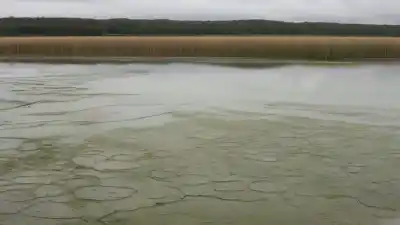 Los 5 Lagos Más Contaminados de México: Un Viaje a las Aguas en Peligro