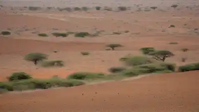 Top 3 de las Montañas Más Altas de Gambia Que Te Sorprenderán