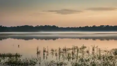 Los 5 Lagos Más Importantes de Brasil: Gigantes de Agua Dulce que Debes Conocer
