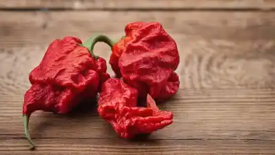 Top 10 de las Comidas Más Picantes del Mundo que Te Harán Llorar
