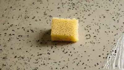 Top 10 de las Cosas con Más Bacterias que Tienes que Conocer