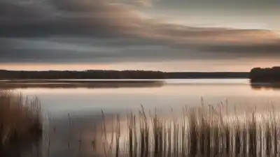 Top 5 de los Lagos Más Importantes de Dinamarca: Belleza e Historia Nórdica