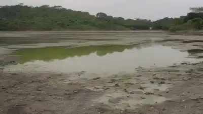 Los 3 Lagos Más Contaminados de El Salvador: Una Realidad Ambiental Urgente