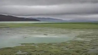 Los 5 Lagos Más Contaminados de Chile: Un Viaje a las Aguas en Peligro