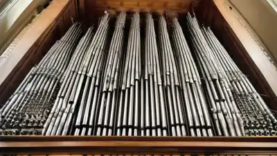 Top 5 de los instrumentos musicales más largos del mundo que te sorprenderán