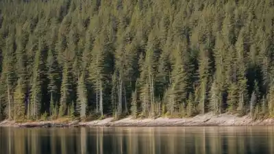 Los 10 Lagos Más Grandes de Quebec: Gigantes de Agua Dulce en el Corazón de Canadá