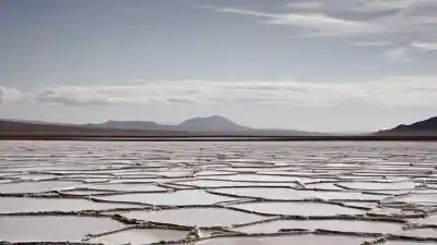 Top 5 de los Minerales Más Abundantes en Argentina que Debes Conocer