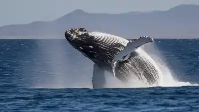 Top 5 de los fenómenos naturales más comunes en México que te sorprenderán