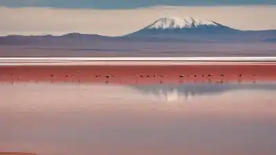 Los 7 Lagos Más Importantes de Bolivia: Joyas Acuáticas que Debes Conocer