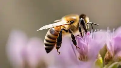 Top 7 de los insectos más inteligentes que te sorprenderán