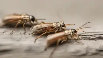 Top 7 Insectos Parecidos a las Pulgas que Te Sorprenderán