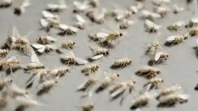 Top 5 de los insectos blancos pequeños voladores que invaden tu hogar