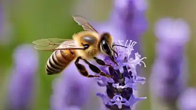 Top 10 Insectos Beneficiosos Para el Ser Humano Que Debes Conocer