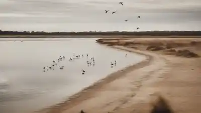 Los 5 Lagos Más Grandes de Victoria: Gigantes de Agua en el Estado Jardín