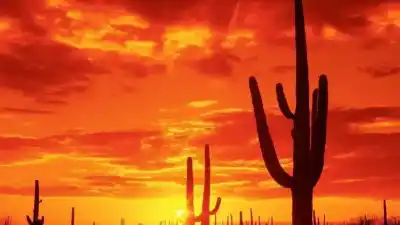 Top 8 de las ciudades más calurosas de México que desafían el calor extremo