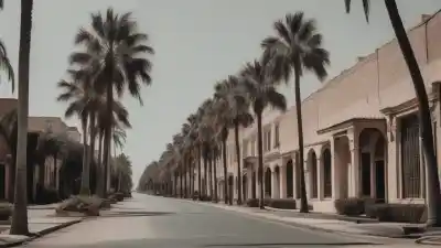 Top 5: Las ciudades con más palmeras del mundo que te sorprenderán