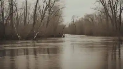 Los 10 Lugares Más Afectados por las Inundaciones en el Mundo: Una Mirada a las Zonas de Mayor Riesgo