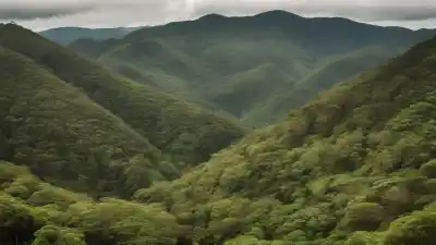 Top 5 de las Montañas Más Altas de Curitiba Que Te Sorprenderán