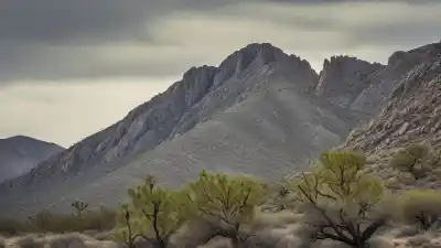 Top 5 de las Montañas Más Altas de Baja California Que Te Dejarán Sin Aliento