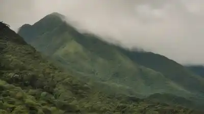 Top 5 de las Montañas Más Altas del Caribe que Te Sorprenderán
