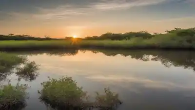 Top 5 de los lugares con más agua en México que te sorprenderán
