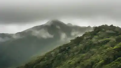 Top 5 de las Montañas Más Altas de Puerto Rico: Cumbres que Tocar el Cielo