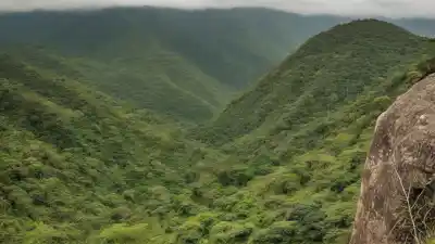 Top 5 de las Montañas Más Altas de Nigeria: Cumbres de la Sabana y la Selva
