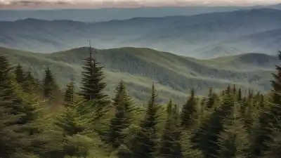 Top 5 de las Montañas Más Importantes de Tennessee: Cumbres de Historia y Naturaleza