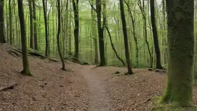 Top 5 de las Montañas Más Importantes de Luxemburgo: Descubre sus Cimas Emblemáticas