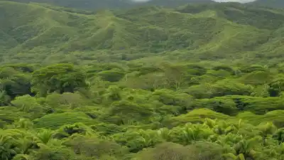 Las 5 Montañas Más Importantes de Barbados: Guía de las Cumbres de la Isla