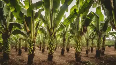 Top 10 de las Frutas Más Cultivadas en el Mundo: El Ranking Definitivo