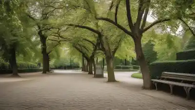 Top 7 de los Mejores Lugares del Mundo para Vivir Según Expertos