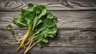 Top 10 de las Plantas Diuréticas Más Conocidas y Eficaces