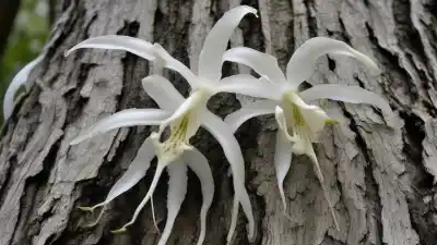 Top 7 de las Plantas Más Difíciles de Cuidar: El Desafío Definitivo para Tu Dedo Verde