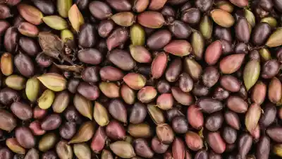 Top 10 de las Plantas Más Peligrosas del Mundo: Bellezas Mortales que Debes Conocer