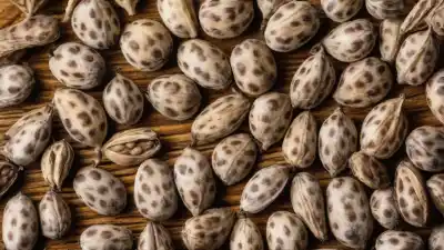 Top 10 de las Plantas Más Venenosas del Mundo: Bellezas Mortales que Debes Conocer