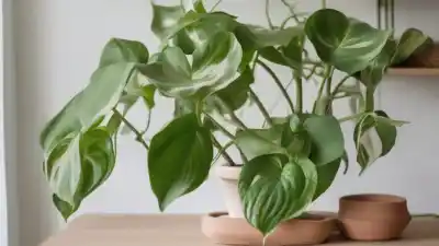 Top 7 de las Plantas Más Purificadoras del Aire que Necesitas en tu Hogar