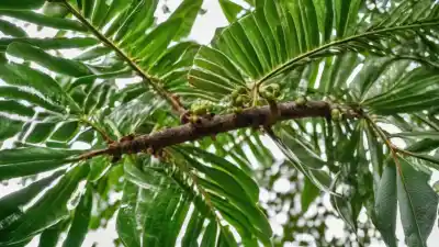 Top 7 de las Plantas Más Peligrosas del Amazonas: Bellezas Mortales que Debes Conocer