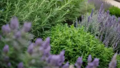 Top 10 de las Plantas Más Aromáticas que Transformarán tu Hogar y Jardín