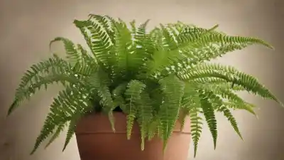 Top 7 de Plantas que Más Agua Necesitan: Conoce a las Verdaderas Sedientas del Jardín