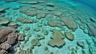 Top 10 de los Lugares Más Bonitos de Australia que Te Dejarán Sin Aliento