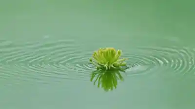 Top 5 de las Flores Más Pequeñas del Mundo: Maravillas Microscópicas