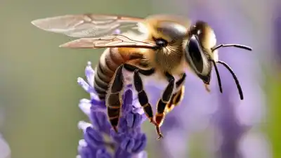 Top 10 Flores que Más Atraen a las Abejas: Un Jardín de Miel y Vida