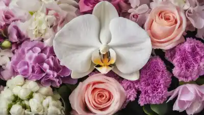 Top 7 de las Flores Más Duraderas: Belleza que Perdura en el Tiempo